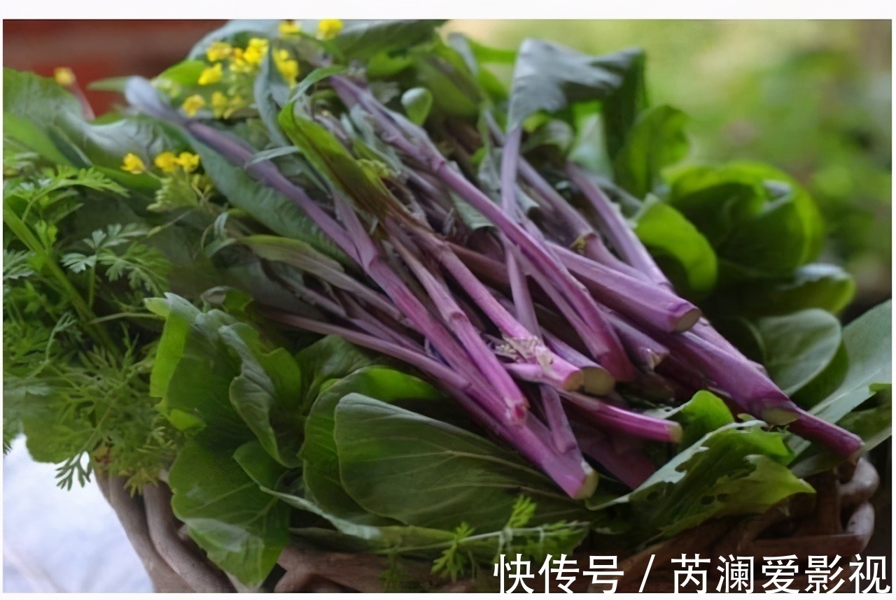 补血|女性到了中年,推荐常吃三种食物,健脑补血,降压减脂,缓解疲劳