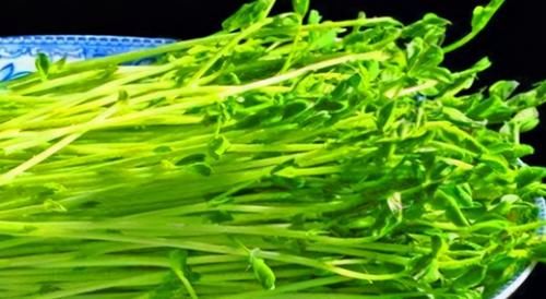 女性不妨多吃三種食物，美容養顏，延緩衰老，身體棒棒噠！