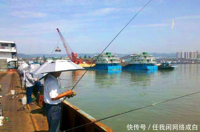 “一人一竿”不应成奢望!长江流域垂钓管理思路亟待改进