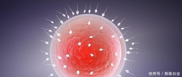 精子|试管婴儿和自然怀孕孩子,最大区别可能不是寿命长短,而是这点