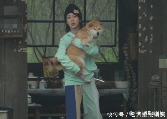 收视率 《向往的生活》第五季的空降嘉宾,杨紫出场提升了节目的收视率