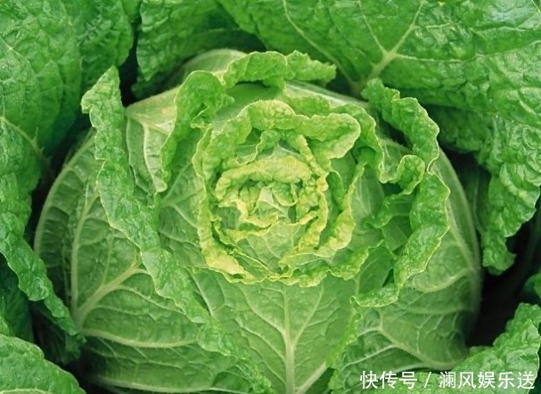 颜色|蔬菜的营养和颜色有啥关系，以下答案值得理解，为健康值得分享