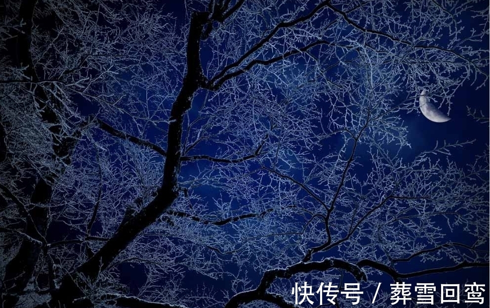 柳枝|涓涓隽语词一阕长相思.柳枝赋,感怀李商隐和柳枝的爱情