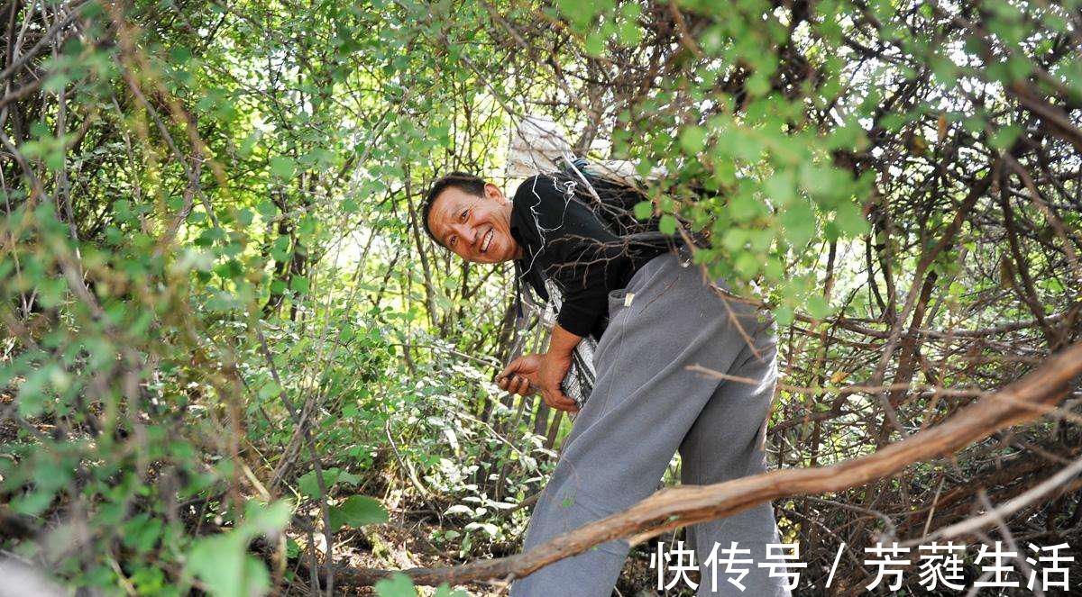 中老年人|天然“化栓药”被找到,喝水加一点,疏通血管,降低三高