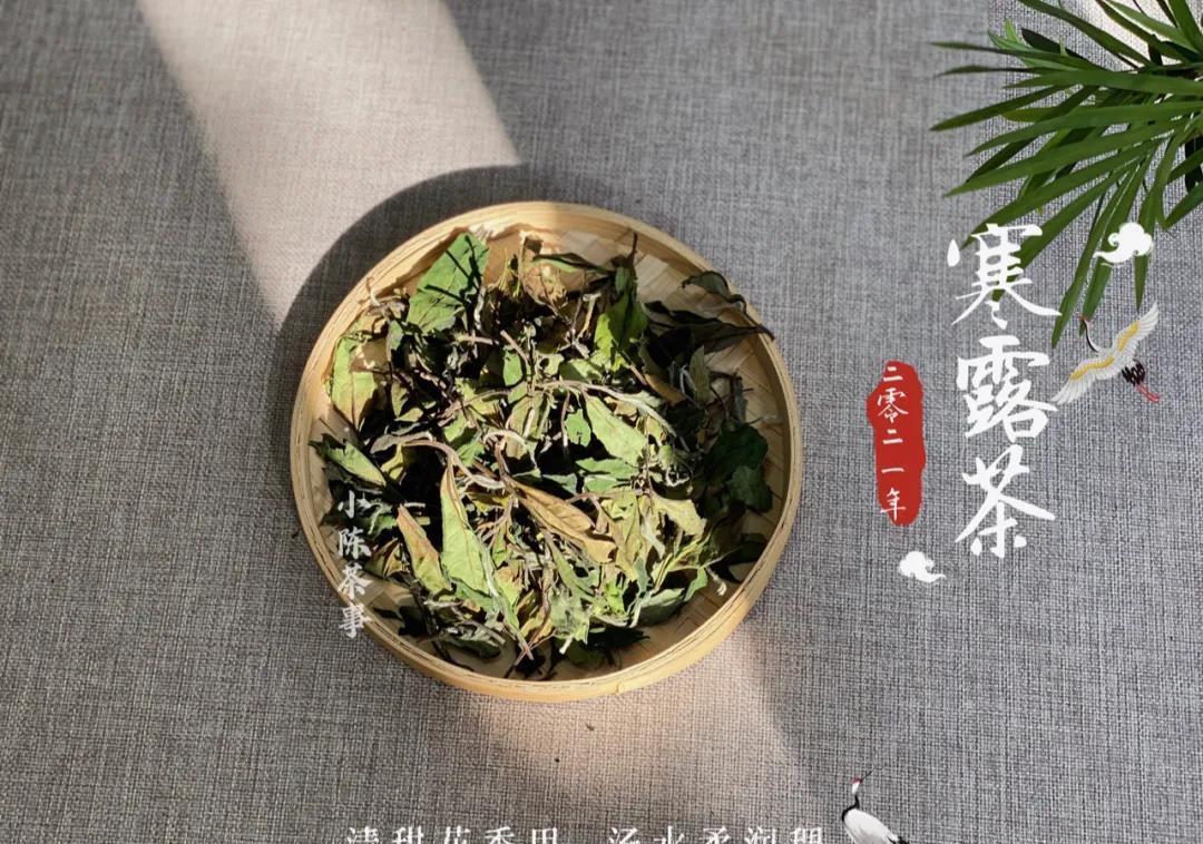 萎凋&刚刚入门白茶的人,为什么觉得好茶味道淡,低端茶反而更好喝?