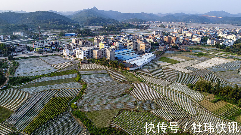 住房|10年后,3类房子将沦为“贫民窟”懂行的人已经在悄悄脱手