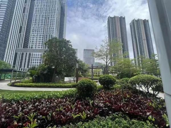 宝能首批10套豪宅启动法拍 拟派房源总共484套、总价73亿|15楼财经 | 法拍