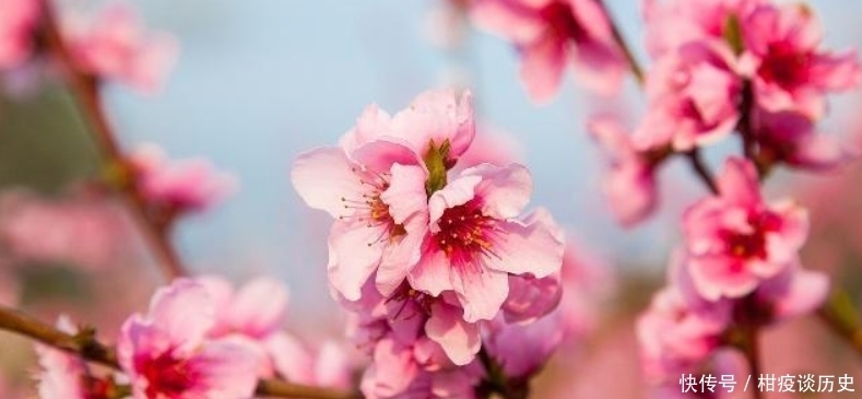 课本|白居易入选课本最多的一首诗,通篇写得很是简练,但却充满了哲理