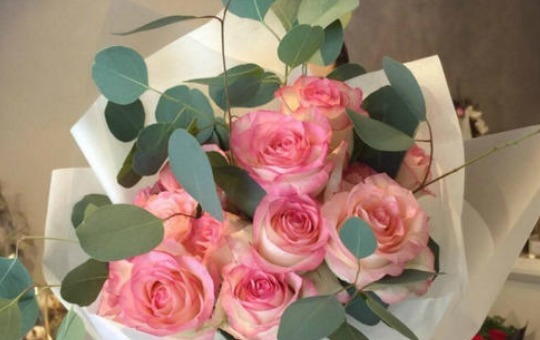 喜欢玫瑰不如选“红袖玫瑰”，花语红颜知己，娇艳动人十分妩媚