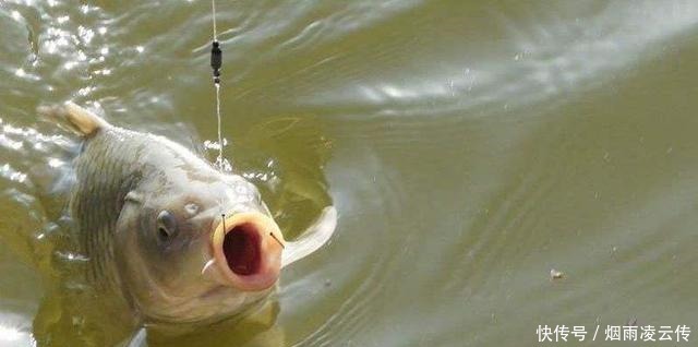30年钓龄老钓友水库钓鱼,为何管理员说“您老以后别来了”