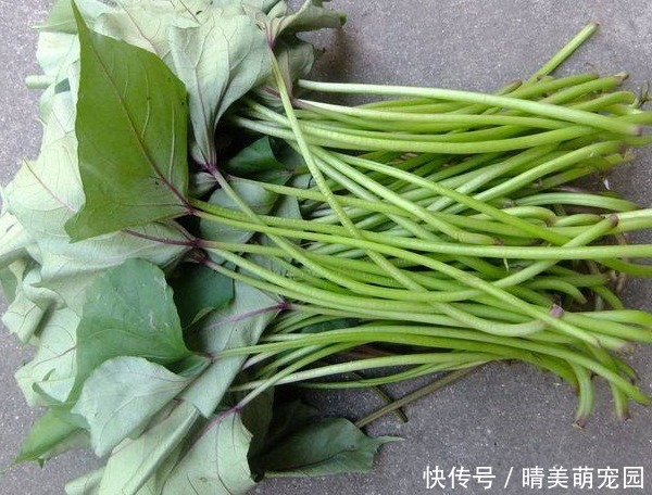 皇后|它可是蔬菜皇后,蛋白质比牛肉还高,才1元一斤,可别把它吃涨价