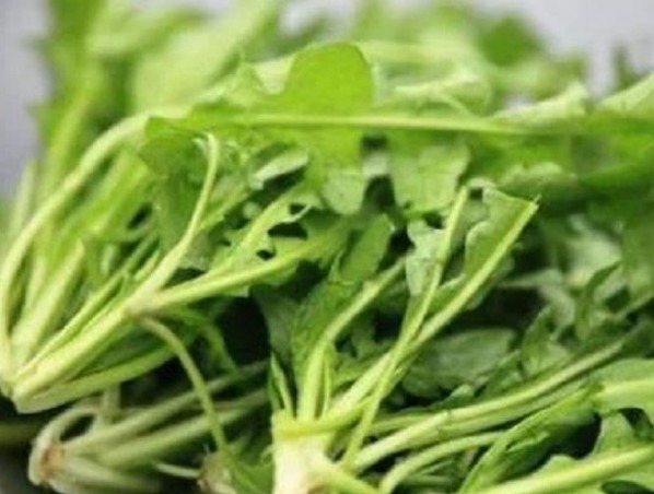 营养价值|埋没在田间的四种抗癌野菜,多数人嫌脏不吃,但是营养价值高