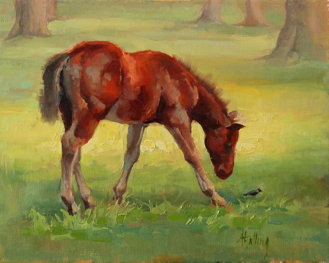 画家|美国90后美女画家,画马堪称一绝!