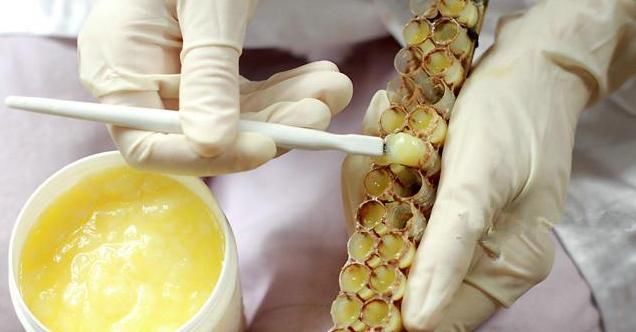 女人不想老太快，多吃這種天然食物，補充雌性激素，調節內分泌