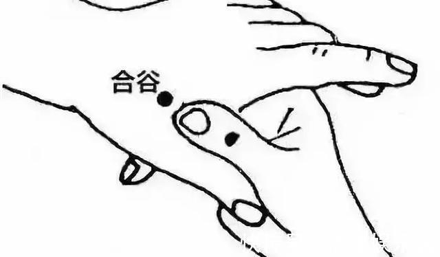 合谷穴|疾病大多是“堵”出来的，最好的疏通法都在这里，简单实用