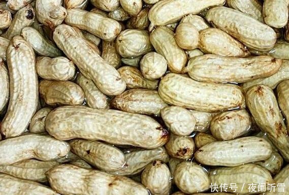 吃剩的坚果壳如何处理好3步简单操作,废物、垃圾变成养花宝