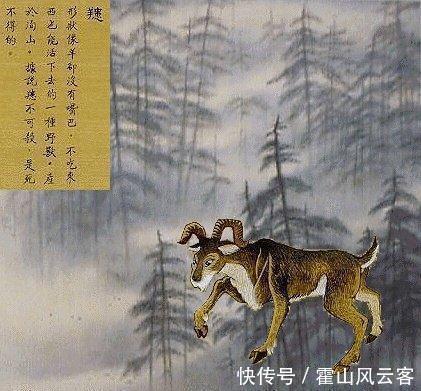 中国神话中四大“不死神兽”,第一个像羊,最后一个是“粮仓”?
