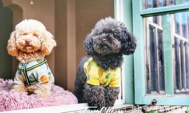 超全|和顺古镇怎么逛?送上超全指南!走访那些记录历史的文化景点~