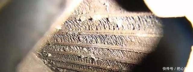 空调|真不是吓唬你!这东西一年不洗,轻则生病重则折寿,赶紧检查一下!