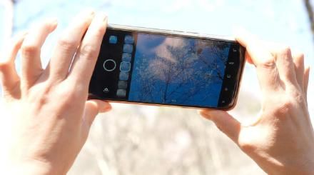 老年|漫山花开遍层林尽春色