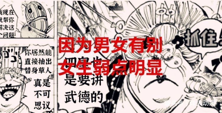 百兽海贼团|海贼王1029话:为何霍金斯不用女人当替身?网友:女生没有命根子