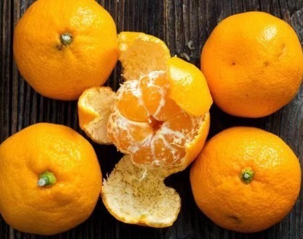 小知识|再三提醒看见此橘子不要买,更不要吃,知道为什么吗