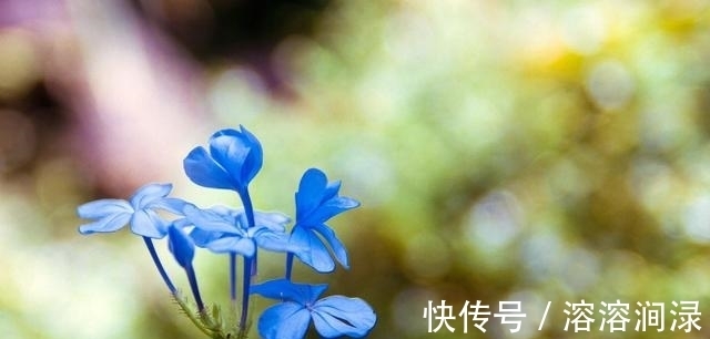 黎明|6天后，不吵不闹，不悲不喜，放下过去，重新出发，迎接黎明