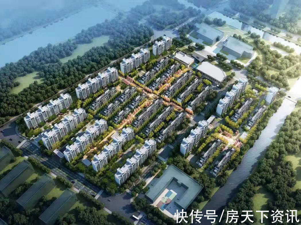 柏悦|碧桂园上海3大力作，柏悦X湾系案名瞩目发布