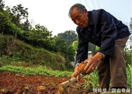 大爷捡到古董宝剑要求上交，他却给磨成了菜刀，如今怎样了