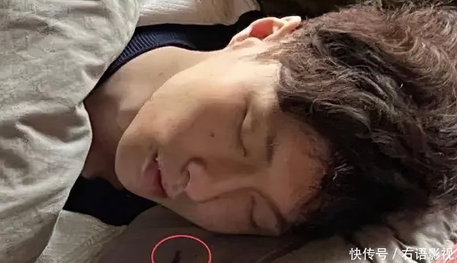 张艺兴 张艺兴来《向往》只能睡箱子,看看杨紫来了睡哪里,网友:太心疼