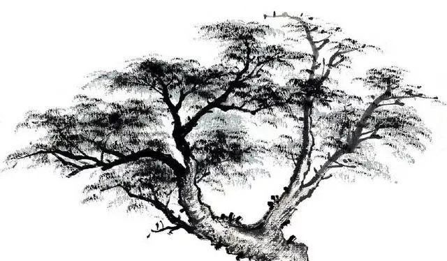 竹林!中国画如何画松树、丛树、柳树、竹林,中国画树的画法大全