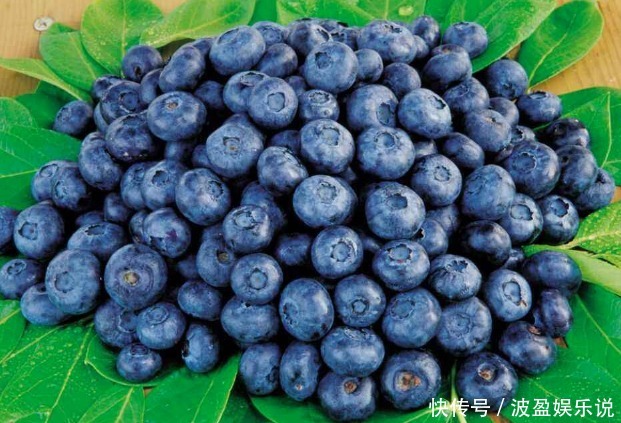 在怀孕期,有4种食物孕妈要常买来吃,能减轻孕吐,有益宝宝视力