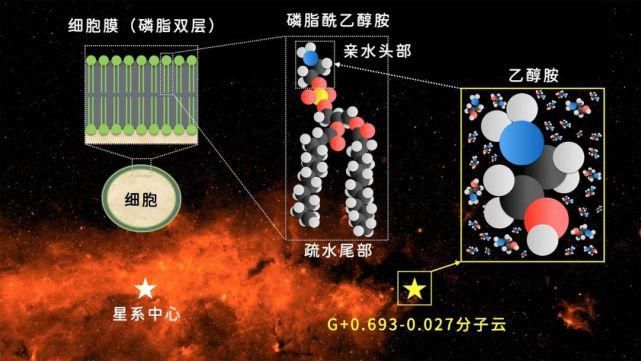 分子云 首次在太空中发现细胞膜分子