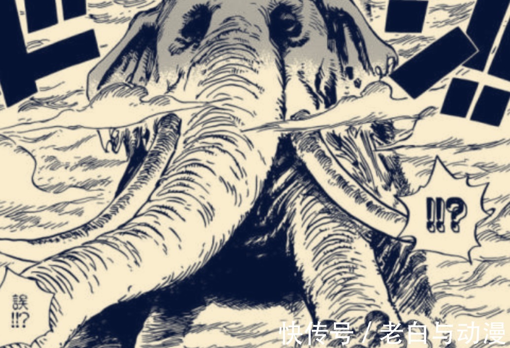 觉醒|海贼王1037话:WT开始挖坑,几百年没觉醒的果实会是哪颗?