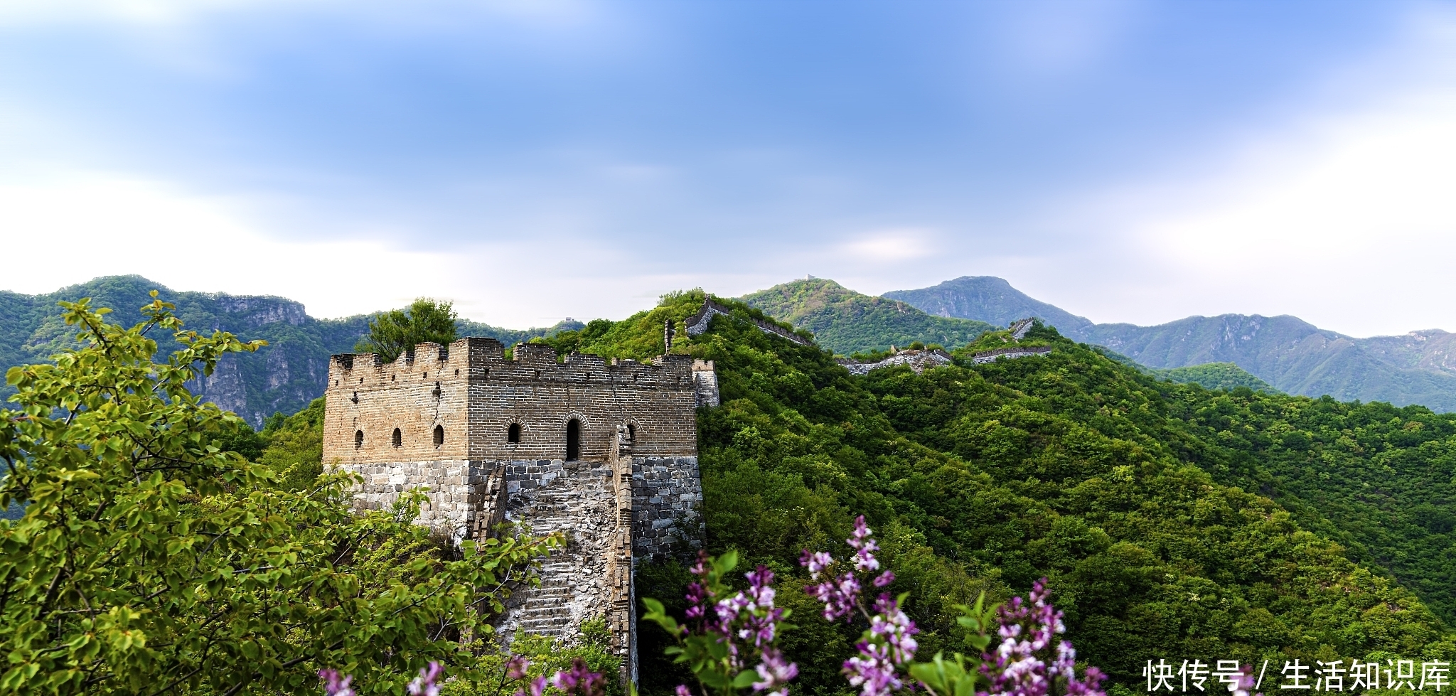 李晨欣：山村四月槐花密，春燕飞来细语呢|诗| 李晨欣