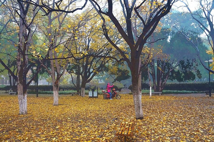 安稳觉|短散文——秋日三则