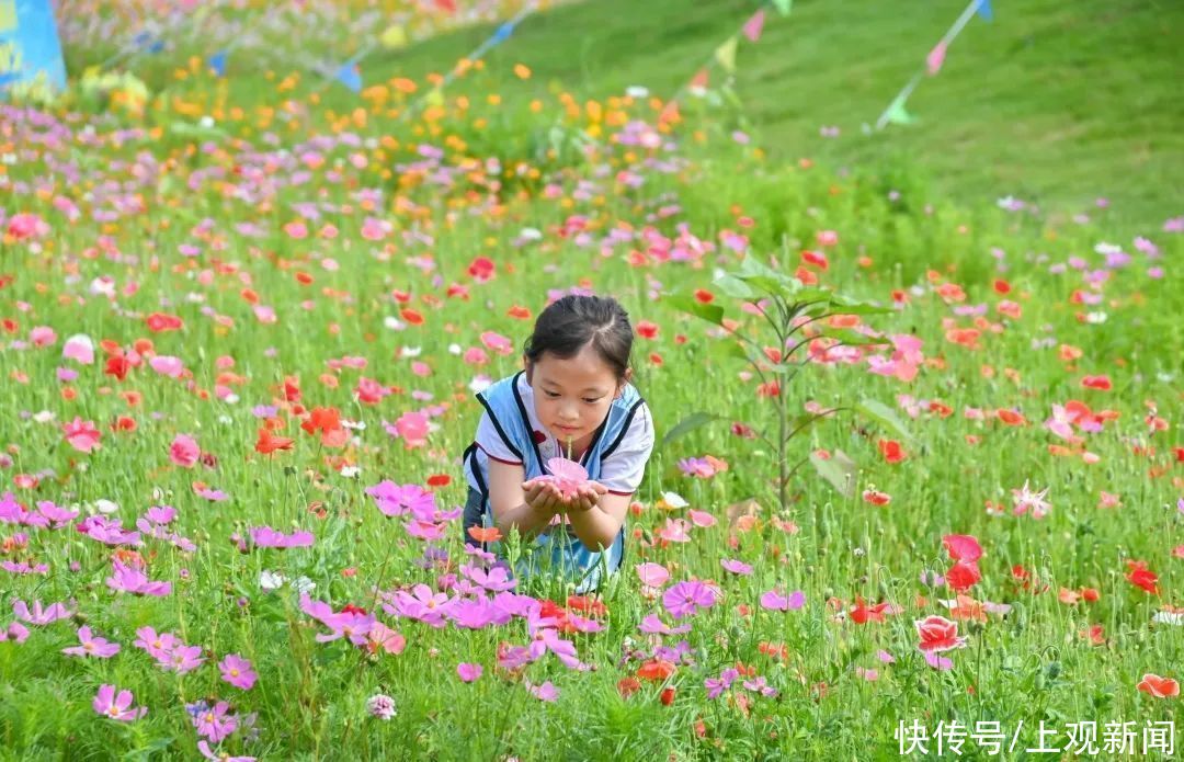 龙虾|插秧、吃瓜、钓龙虾！这场花海里的亲子农耕之旅太“香”了