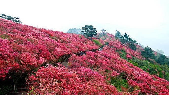 胜地|十条旅游线路在此，哪儿都是好风景~