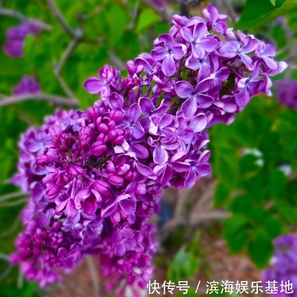 生肖|“对爱情守诺”的4种生肖,只对老婆专情,家庭非常幸福