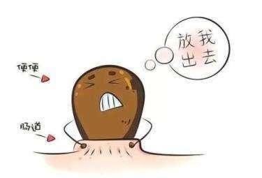 排便|大便堵在肛门口，排不出来咋办？牢记1个方法，专调“顽固”便秘