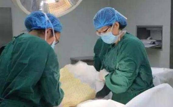 炒饭|5岁男孩每天一碗“蛋炒饭”，1个月之后被送去医院，医生太无知