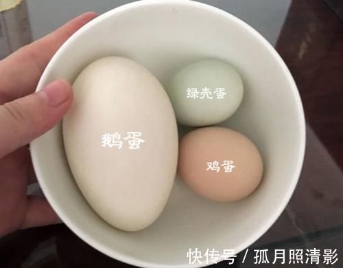 鸡蛋、鹅蛋、鸭蛋，哪个更有营养？营养师告诉你标准答案