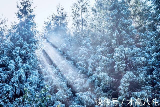 雪夜$看看10位名家笔下的雪景,太经典了!