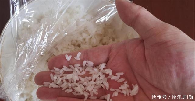 浮漂|夏钓鲫鱼用米饭粒，饵料可以这样做，浮漂应该这样调，专攻大鲫鱼！