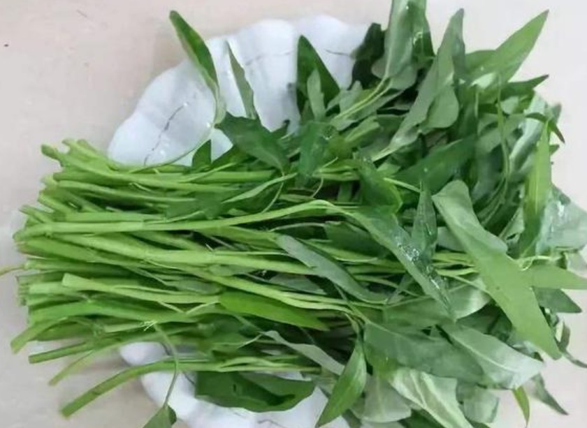 养花不如种菜,“4种菜”种阳台,结果量大,随吃随摘,够全家吃