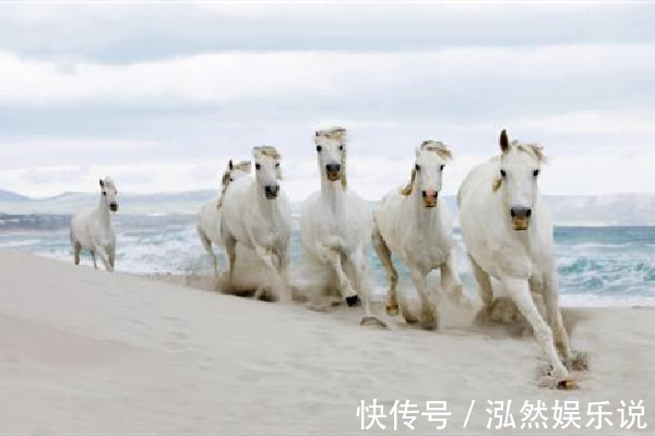 紫气东来|生肖马和谁最配和这3个生肖处在一起，能够白头偕老紫气东来