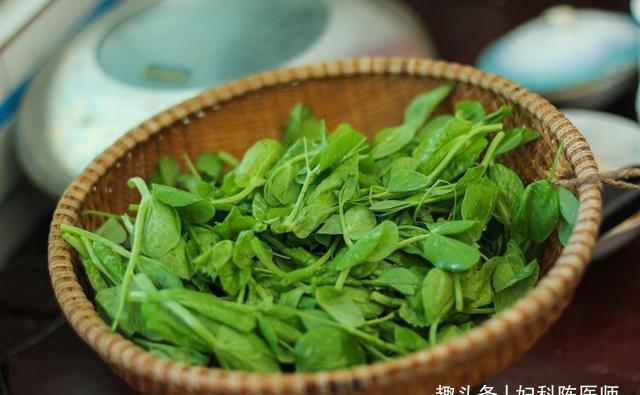 陈医师|秋天来了,不妨多吃三种食物,大肚子变平了,脂肪没了,早吃早好