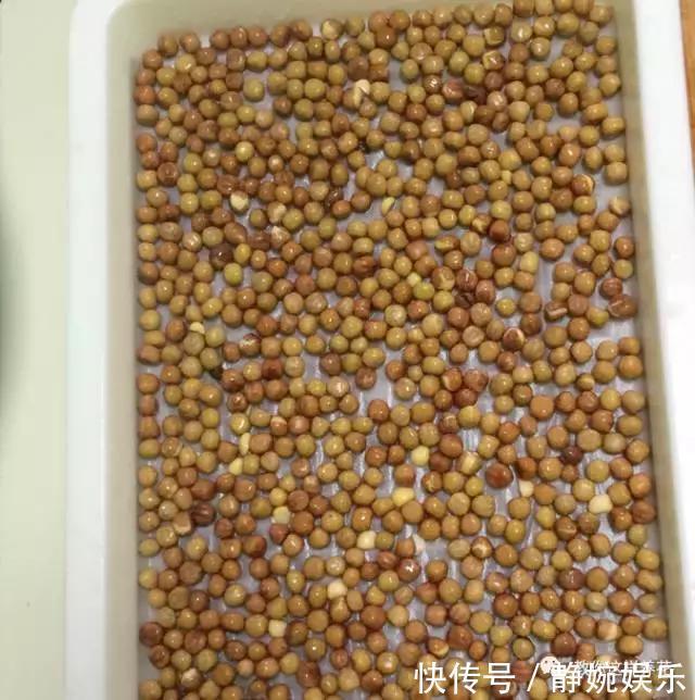 学会纸上种菜,在家就能做菜农,青菜不用买!