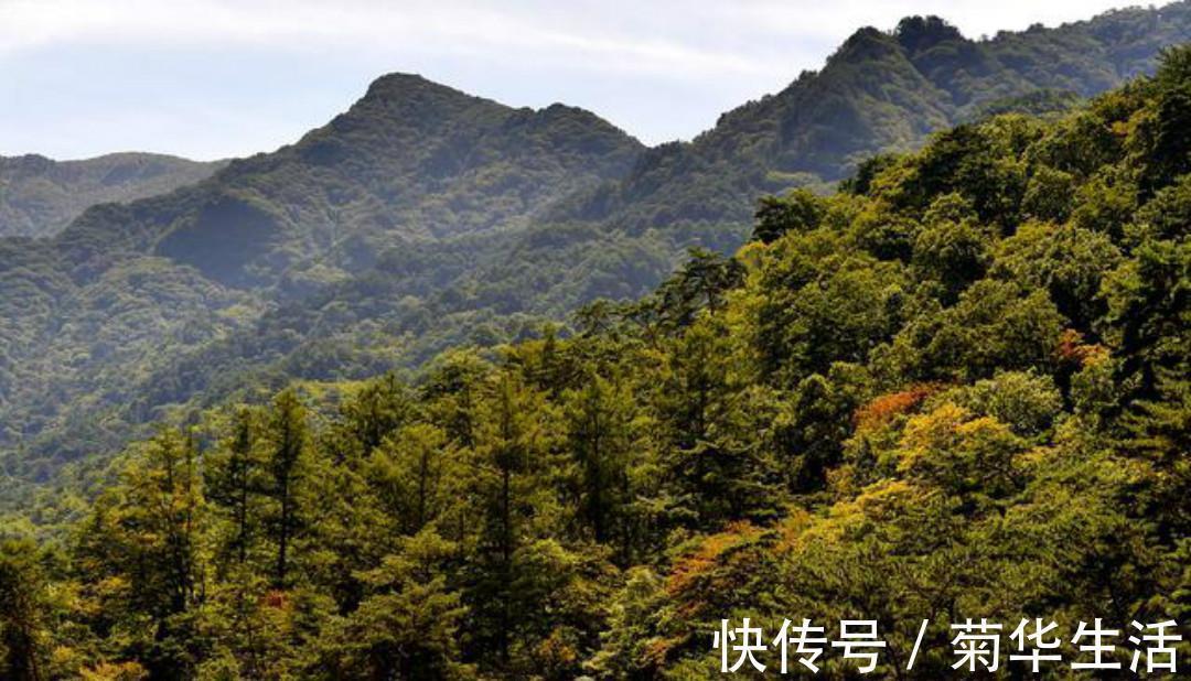 一种心情&杜牧最唯美的一首诗,通篇美得犹如一幅画,怎一个美字了得