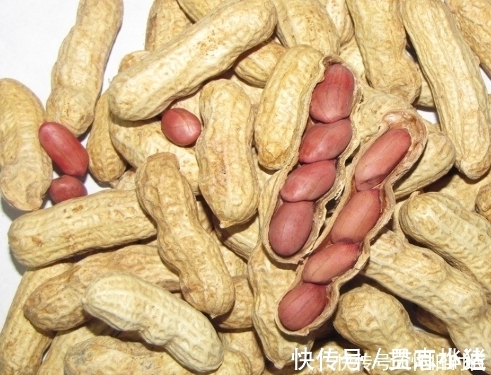 天门冬氨酸|花生和此物一起煮,常吃睡眠好了,白发没有了,皮肤白嫩!